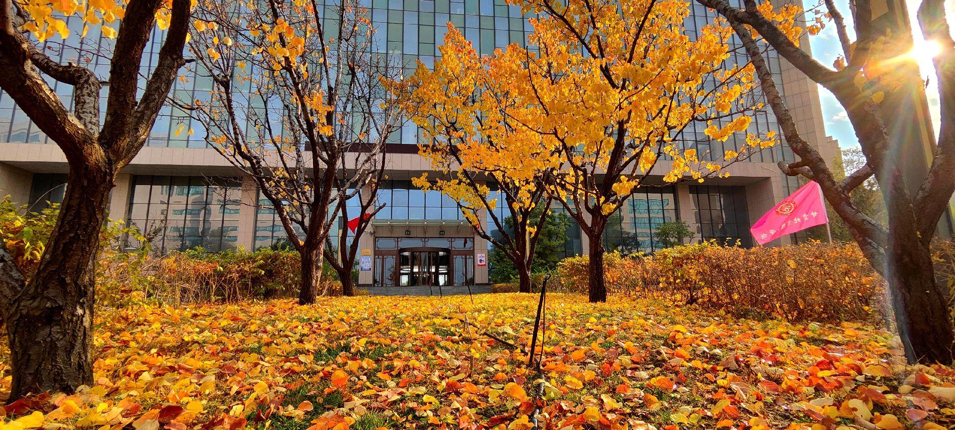 转学到甘肃北方技工学校，遇见更好的未来