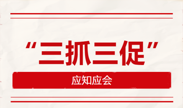 “三抓三促”行动应知应会